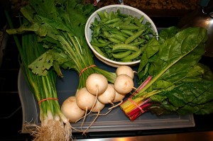 Yonked.com - CSA: First haul (share) of the season!