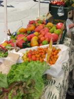 Our CSA haul - a new weekly series coming soon