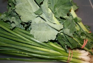 csa-haul-scallions-kale